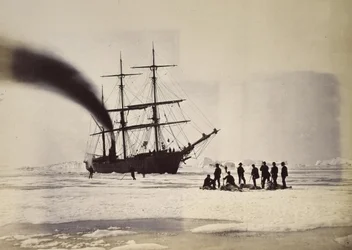 Caccia a vapore nella baia di Melville